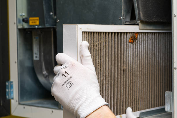Best Affordable Air Duct Cleaning  in North Ogden, UT