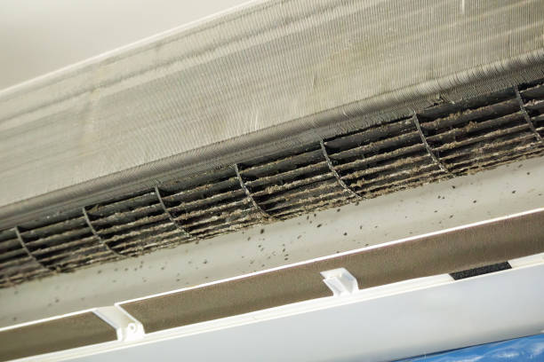 Best HVAC Duct Inspection Services  in North Ogden, UT